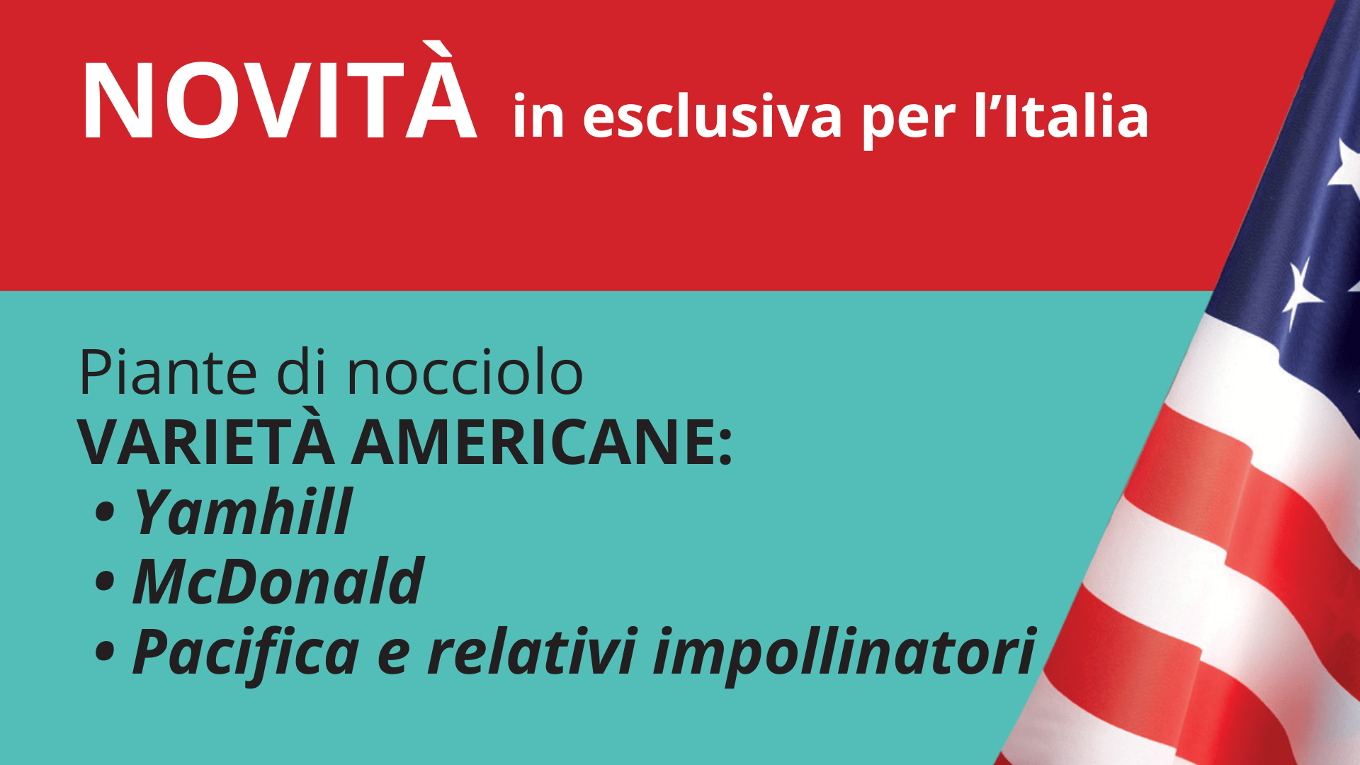nocciolo varietà americane
